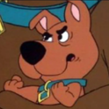 ertidog